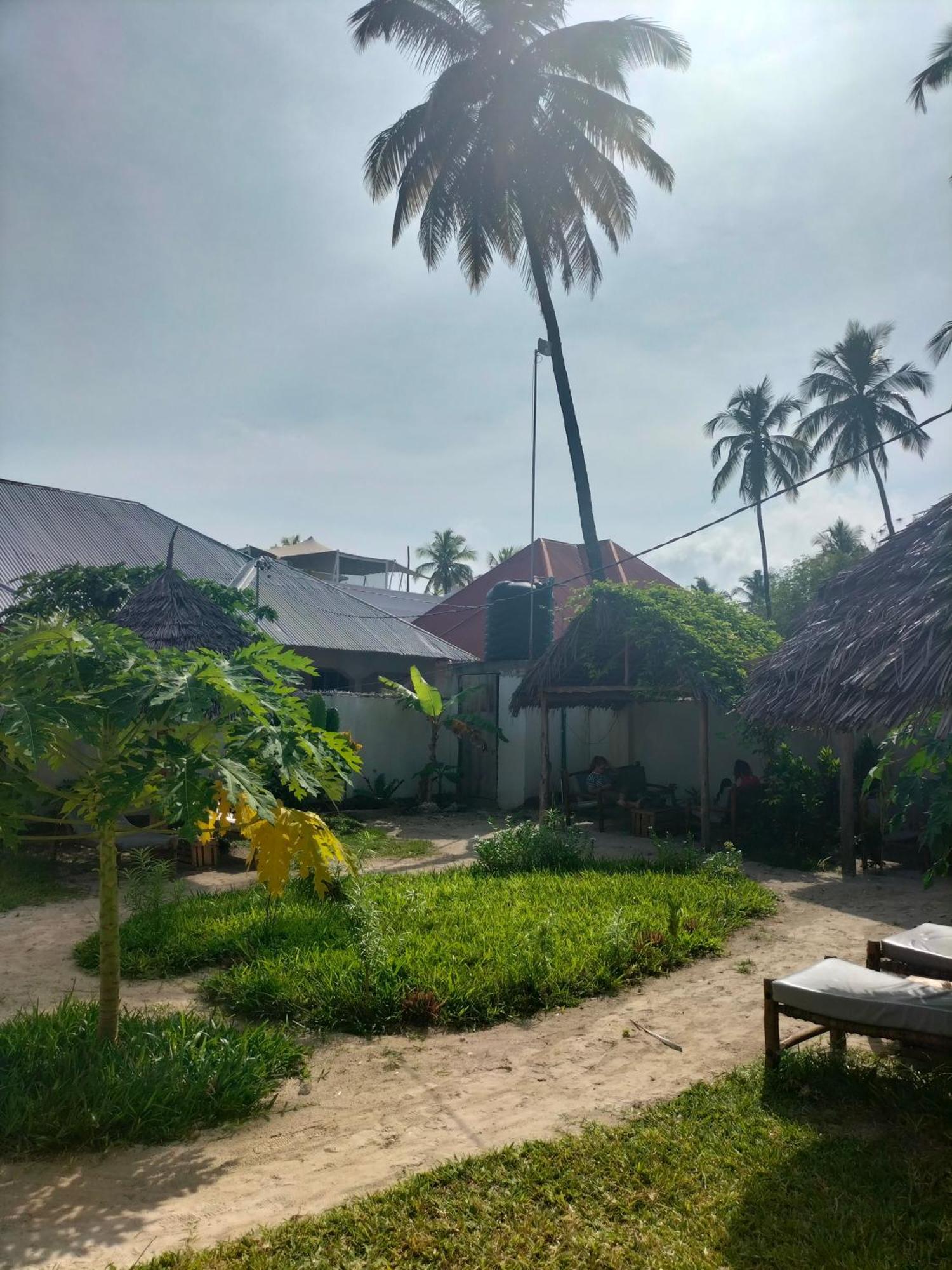 Mambo Leo Hostel Paje Exteriér fotografie